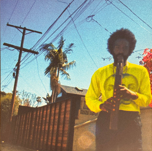André 3000 / Moving Day - LP